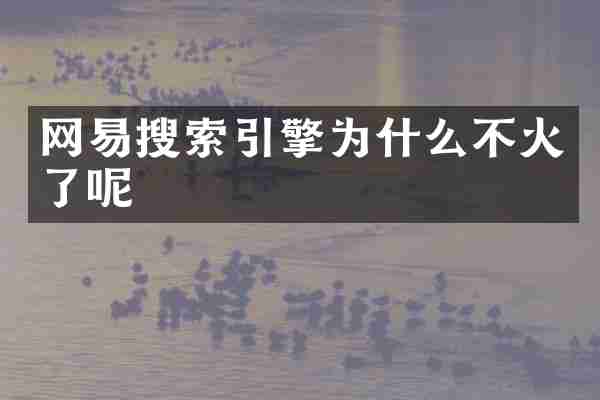 网易搜索引擎为什么不火了呢