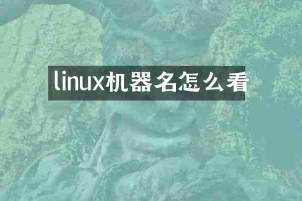 linux机器名怎么看