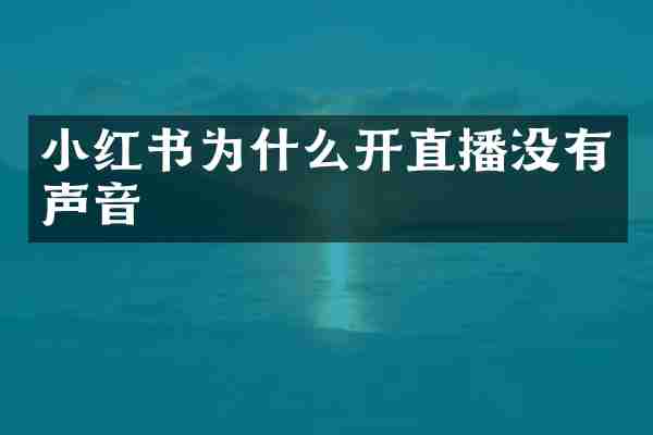 小红书为什么开直播没有声音
