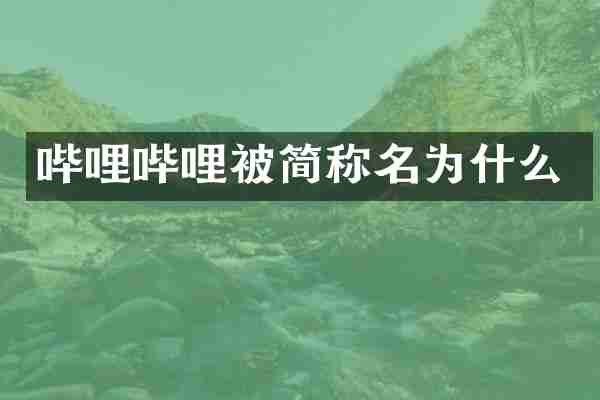哔哩哔哩被简称名为什么