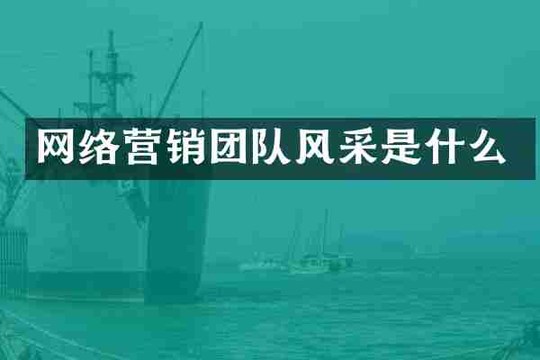 网络营销团队风采是什么
