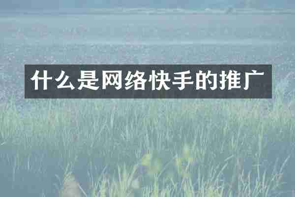 什么是网络快手的推广