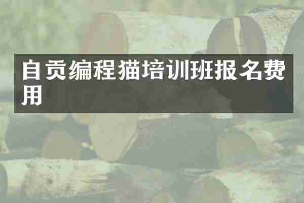 自贡编程猫培训班报名费用