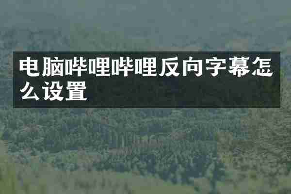 电脑哔哩哔哩反向字幕怎么设置