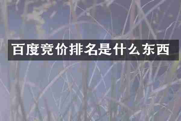 百度竞价排名是什么东西