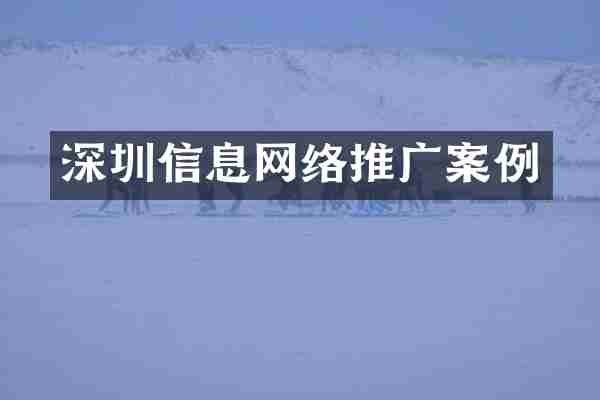 深圳信息网络推广案例