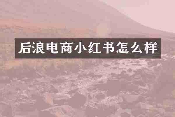 后浪电商小红书怎么样