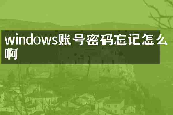 windows账号密码忘记怎么办啊