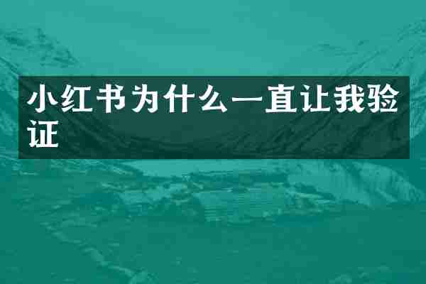 小红书为什么一直让我验证