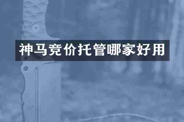 神马竞价托管哪家好用