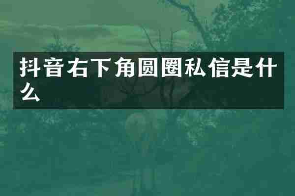 抖音右下角圆圈私信是什么