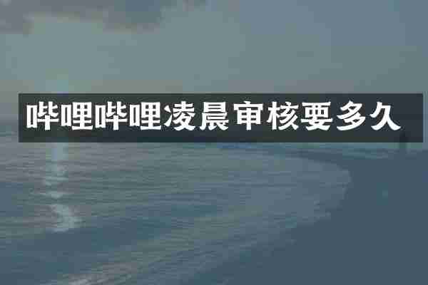 哔哩哔哩凌晨审核要多久