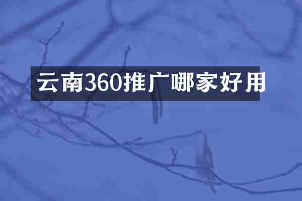 云南360推广哪家好用