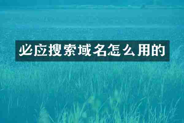 必应搜索域名怎么用的
