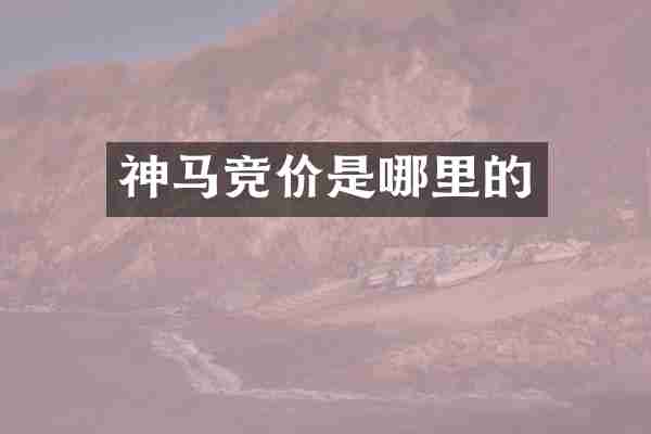 神马竞价是哪里的