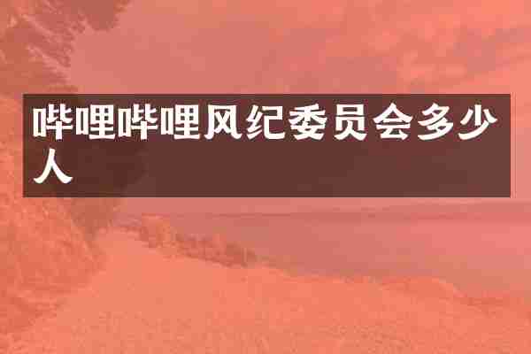 哔哩哔哩风纪委员会多少人