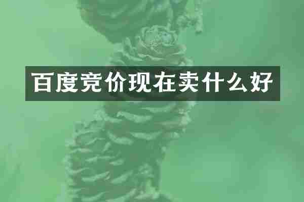 百度竞价现在卖什么好