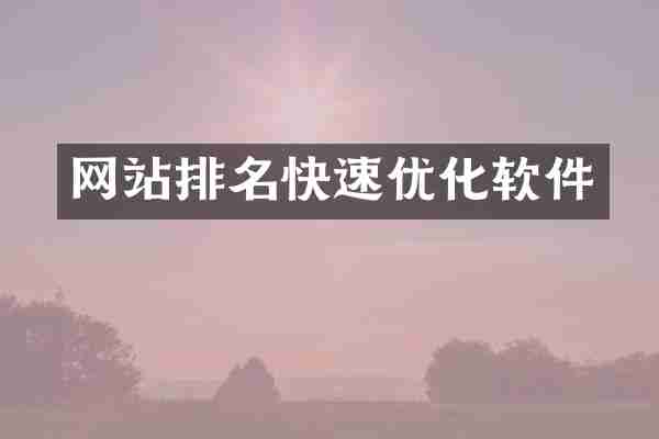网站排名快速优化软件