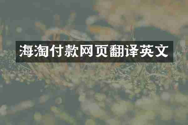 海淘付款网页翻译英文