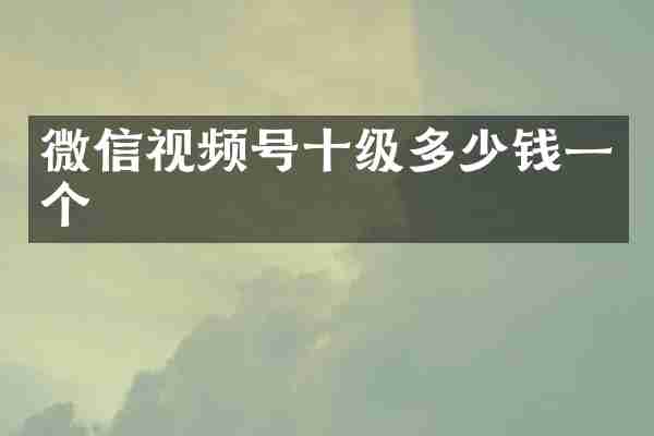 微信视频号十级多少钱一个