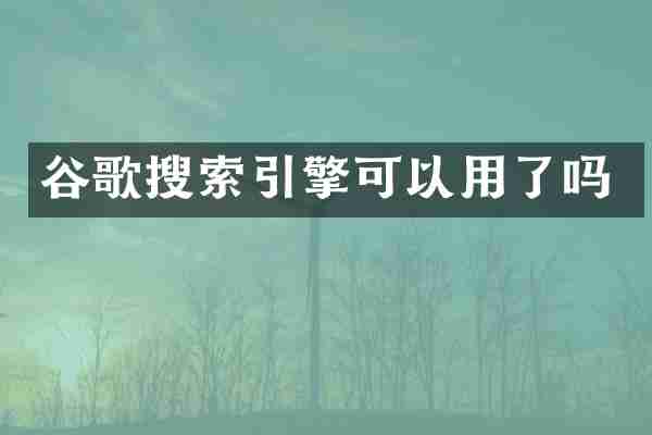 谷歌搜索引擎可以用了吗