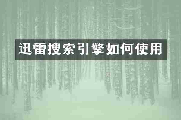 迅雷搜索引擎如何使用