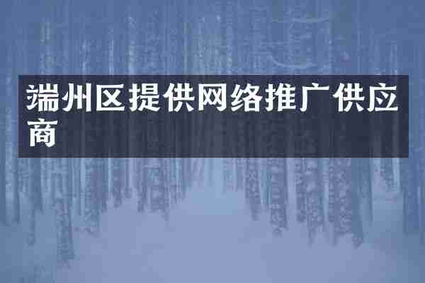 端州区提供网络推广供应商