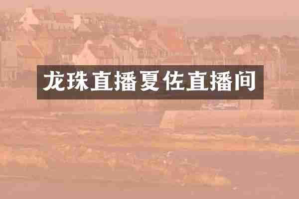龙珠直播夏佐直播间