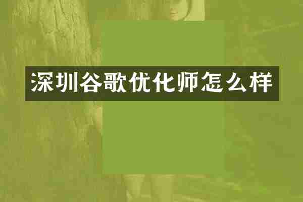 深圳谷歌优化师怎么样