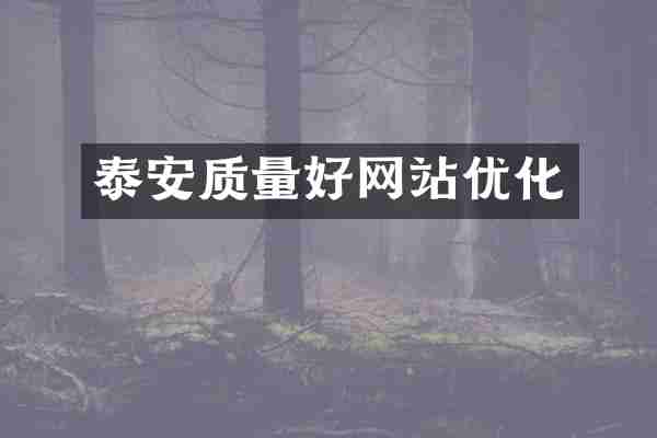 泰安质量好网站优化