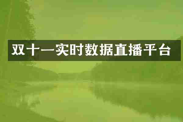 双十一实时数据直播平台
