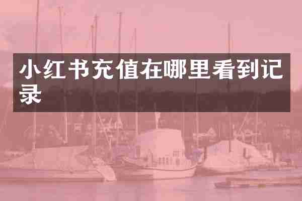 小红书充值在哪里看到记录