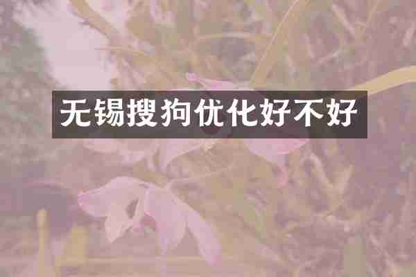 无锡搜狗优化好不好