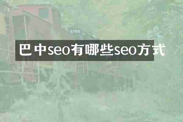 巴中seo有哪些seo方式