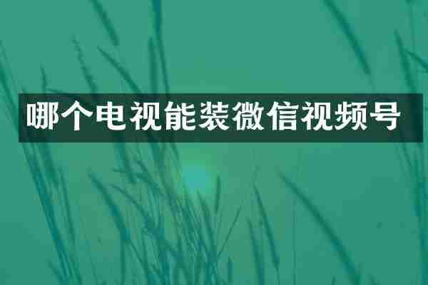 哪个电视能装微信视频号