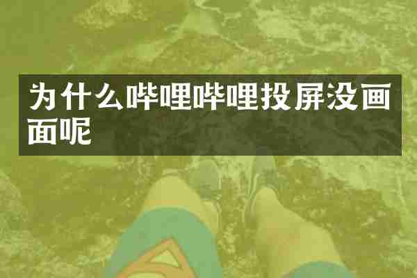 为什么哔哩哔哩投屏没画面呢