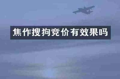 焦作搜狗竞价有效果吗