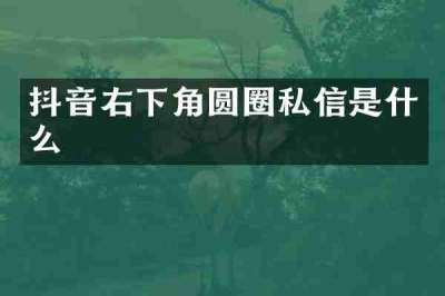 抖音右下角圆圈私信是什么