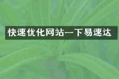 快速优化网站一下易速达