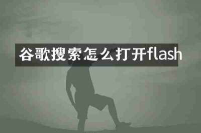 谷歌搜索怎么打开flash