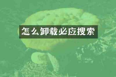 怎么卸载必应搜索