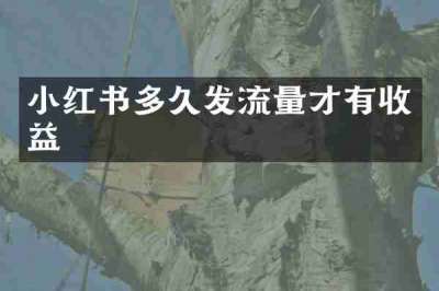 小红书多久发流量才有收益