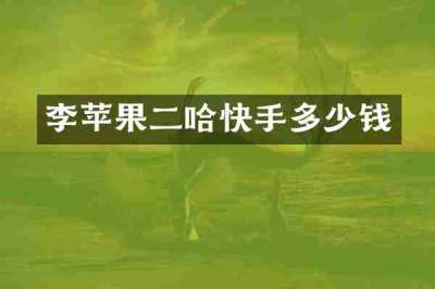李苹果二哈快手多少钱