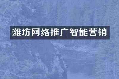 潍坊网络推广智能营销