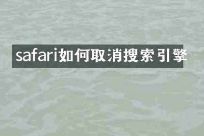 safari如何取消搜索引擎