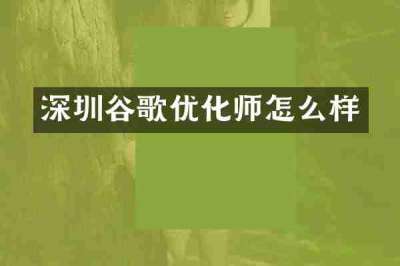 深圳谷歌优化师怎么样
