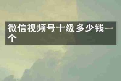微信视频号十级多少钱一个