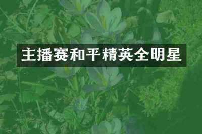 主播赛和平精英全明星