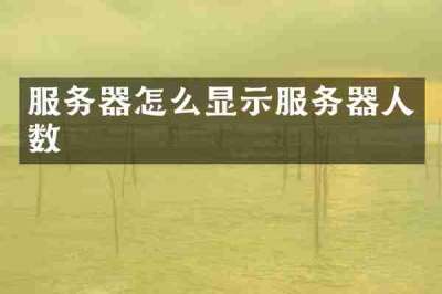 服务器怎么显示服务器人数