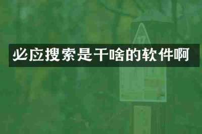 必应搜索是干啥的软件啊